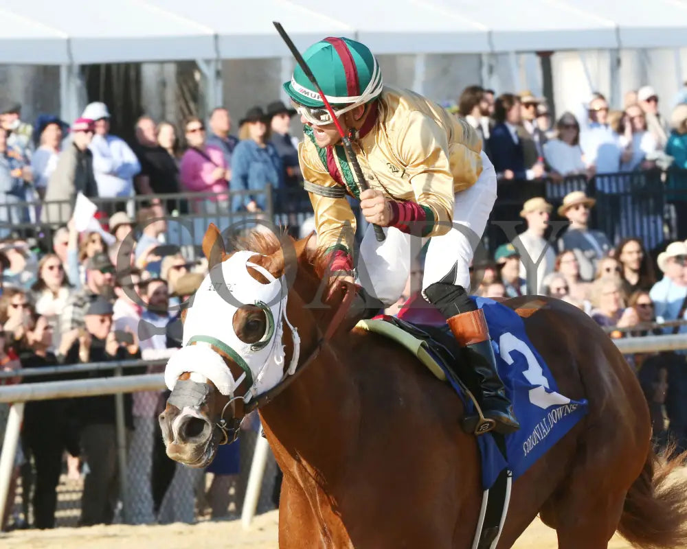AMERICAN PROMISE - The Virginia Derby - 03-15-25 - R09 - CNL - Inside Finish 02 - Coady Media - Kurtis Coady Photography