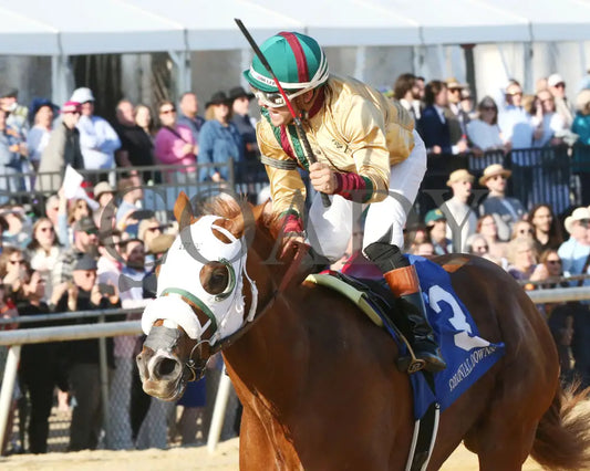 AMERICAN PROMISE - The Virginia Derby - 03-15-25 - R09 - CNL - Inside Finish 02 - Coady Media - Kurtis Coady Photography