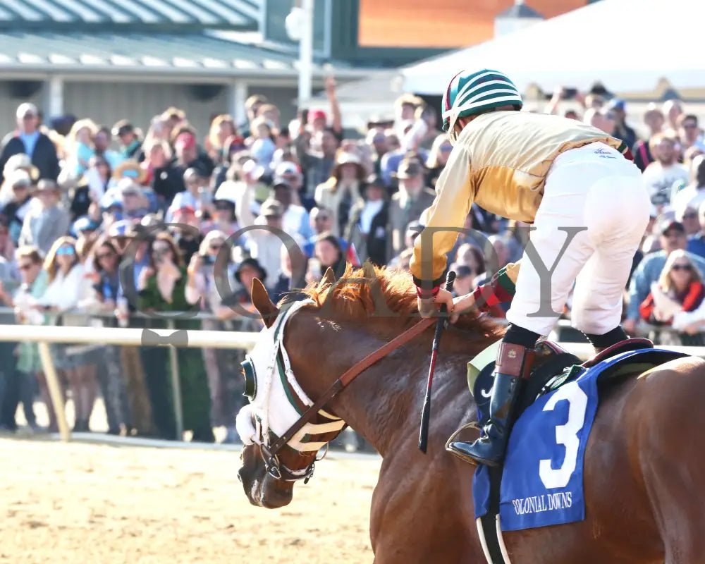 AMERICAN PROMISE - The Virginia Derby - 03-15-25 - R09 - CNL - Inside Finish 05 Colonial Downs