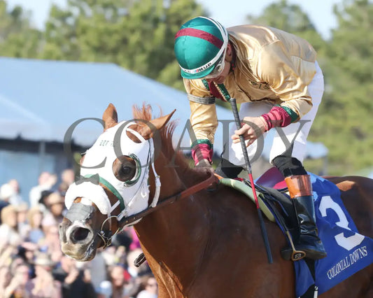 AMERICAN PROMISE - The Virginia Derby - 03-15-25 - R09 - CNL - Inside Finish 03 Colonial Downs