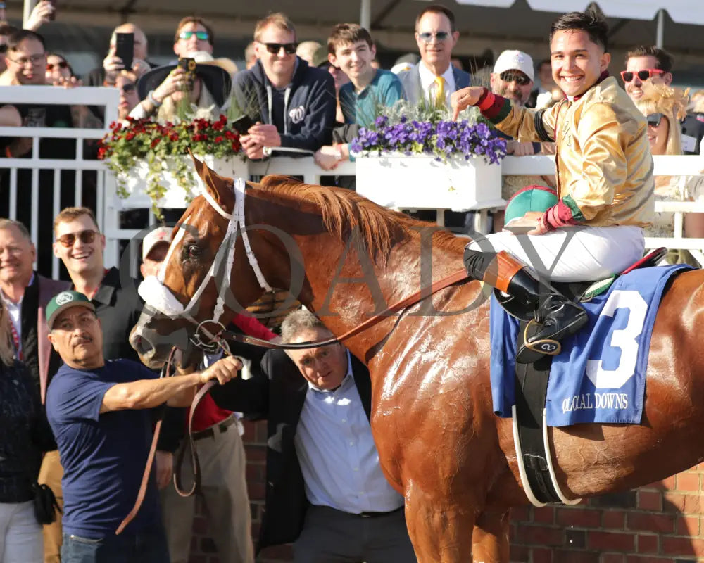 AMERICAN PROMISE - The Virginia Derby - 03-15-25 - R09 - CNL - Nik Juarez 04 - Coady Media - Kurtis Coady Photography