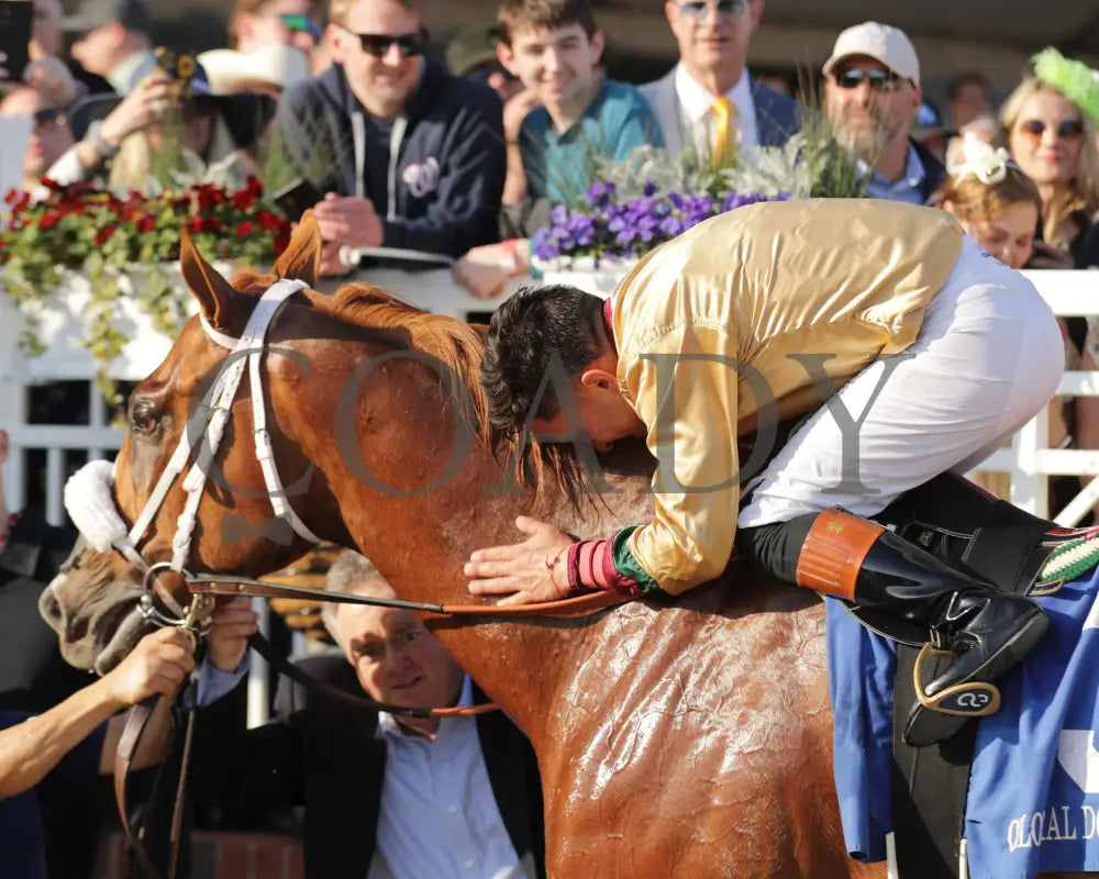 AMERICAN PROMISE - The Virginia Derby - 03-15-25 - R09 - CNL - Nik Juarez 03 - Coady Media - Kurtis Coady Photography