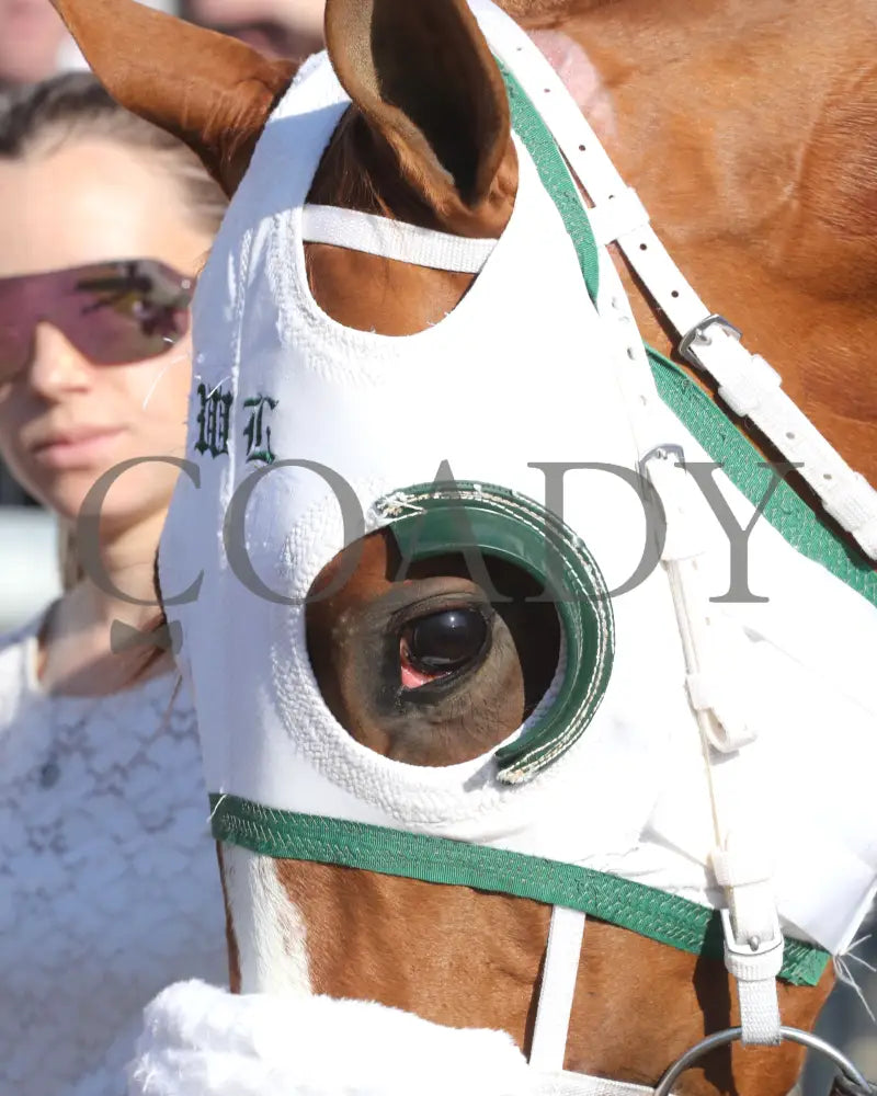 AMERICAN PROMISE - The Virginia Derby - 03-15-25 - R09 - CNL - Paddock 04 Colonial Downs