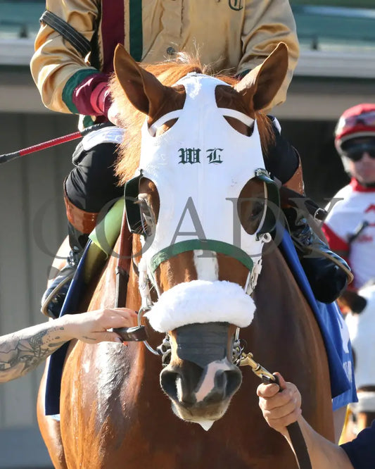 AMERICAN PROMISE - The Virginia Derby - 03-15-25 - R09 - CNL - Paddock 06 Colonial Downs