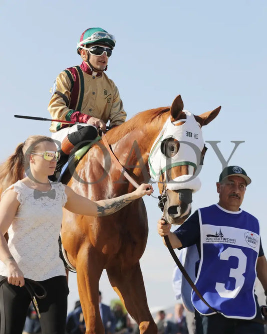AMERICAN PROMISE - The Virginia Derby - 03-15-25 - R09 - CNL - Paddock 07 Colonial Downs