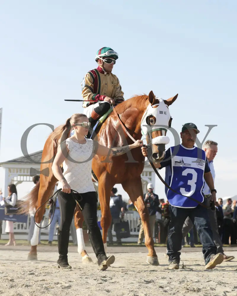 AMERICAN PROMISE - The Virginia Derby - 03-15-25 - R09 - CNL - Paddock 08 - Coady Media - Kurtis Coady Photography