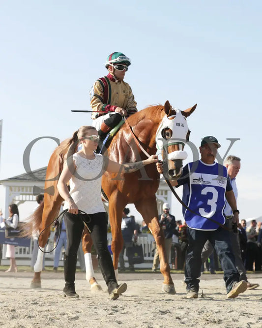 AMERICAN PROMISE - The Virginia Derby - 03-15-25 - R09 - CNL - Paddock 08 - Coady Media - Kurtis Coady Photography