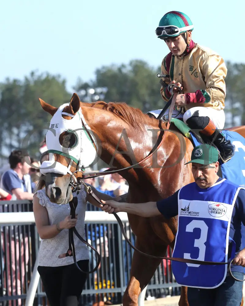 AMERICAN PROMISE - The Virginia Derby - 03-15-25 - R09 - CNL - Paddock 03 Colonial Downs