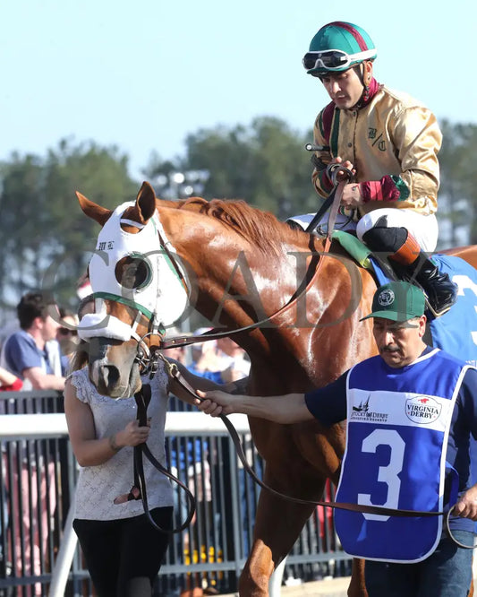 AMERICAN PROMISE - The Virginia Derby - 03-15-25 - R09 - CNL - Paddock 03 Colonial Downs