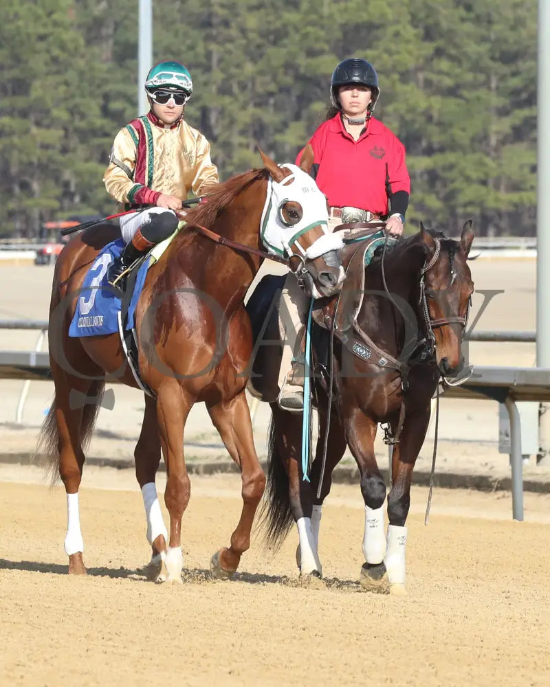 AMERICAN PROMISE - The Virginia Derby - 03-15-25 - R09 - CNL - Post Parade 01 - Coady Media - Kurtis Coady Photography