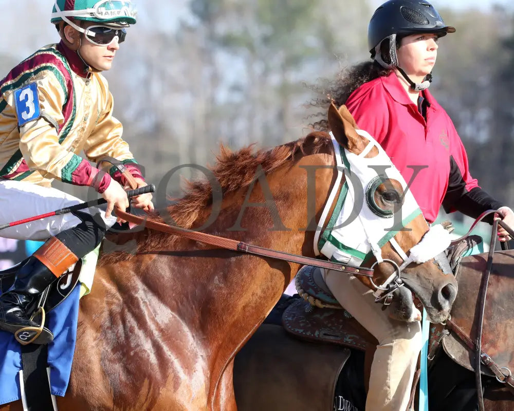 AMERICAN PROMISE - The Virginia Derby - 03-15-25 - R09 - CNL - Post Parade 02 - Coady Media - Kurtis Coady Photography