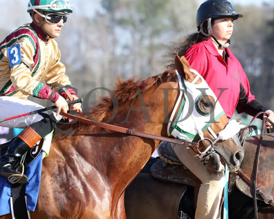 AMERICAN PROMISE - The Virginia Derby - 03-15-25 - R09 - CNL - Post Parade 02 - Coady Media - Kurtis Coady Photography