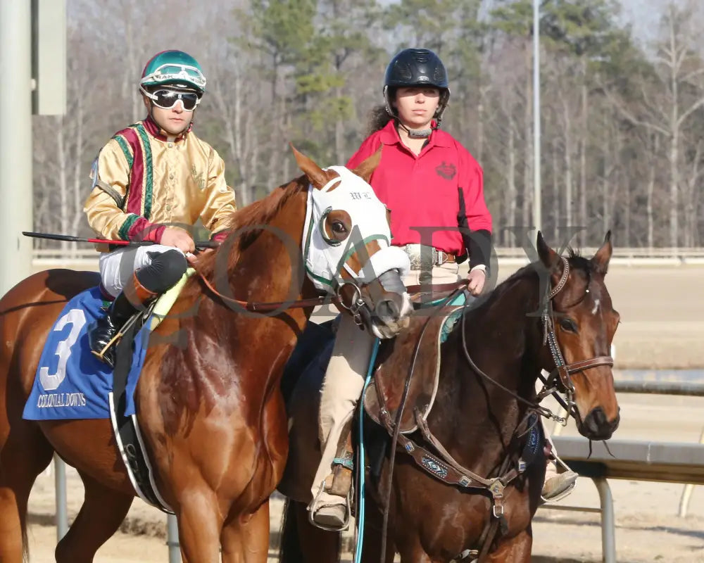 AMERICAN PROMISE - The Virginia Derby - 03-15-25 - R09 - CNL - Post Parade 03 Colonial Downs