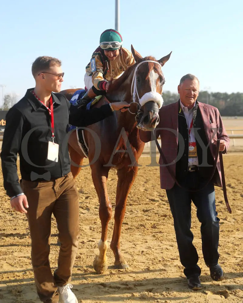 AMERICAN PROMISE - The Virginia Derby - 03-15-25 - R09 - CNL - Walk In 01 - Coady Media - Kurtis Coady Photography