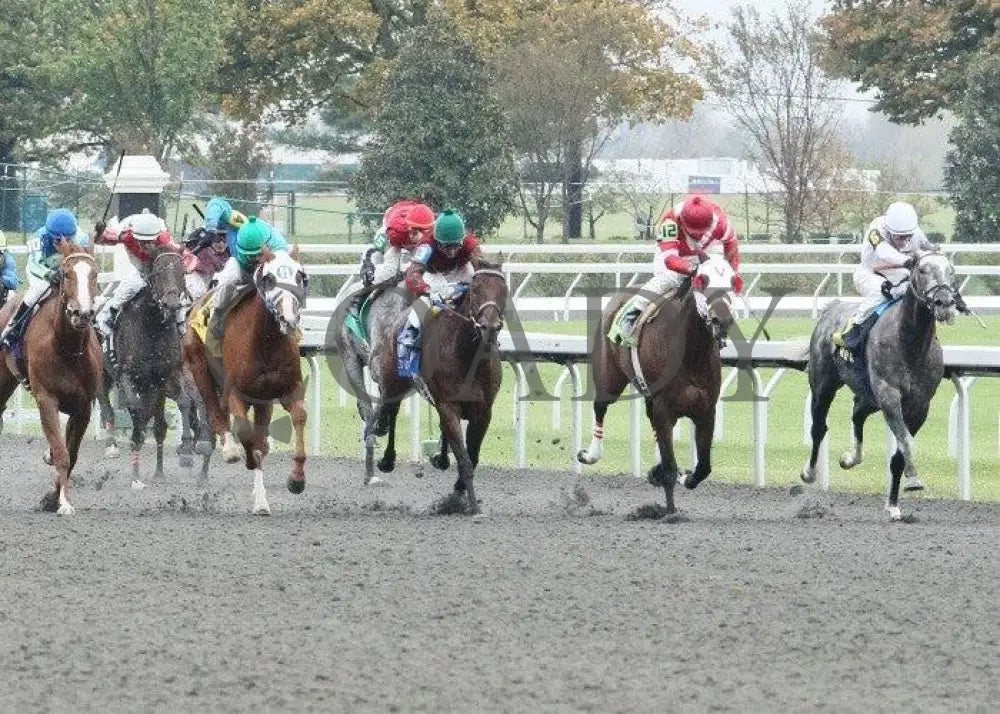 American Song - 1 102011 Race 03 Keeneland
