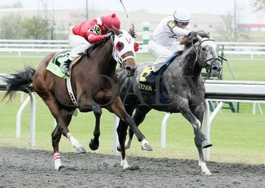 American Song - 2 102011 Race 03 Keeneland