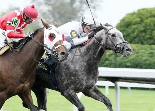 American Song - 3 102011 Race 03 Keeneland