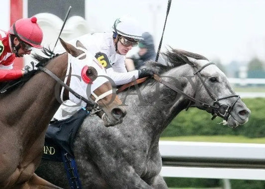 American Song - 4 102011 Race 03 Keeneland