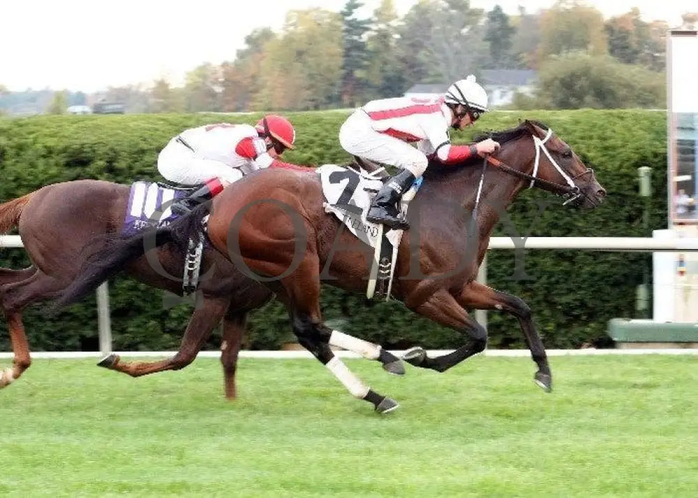 Animal Spirits - Finish 100911 Race 08 Keeneland