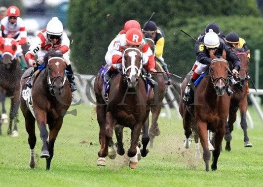 Animal Spirits - Head On 100911 Race 08 Keeneland