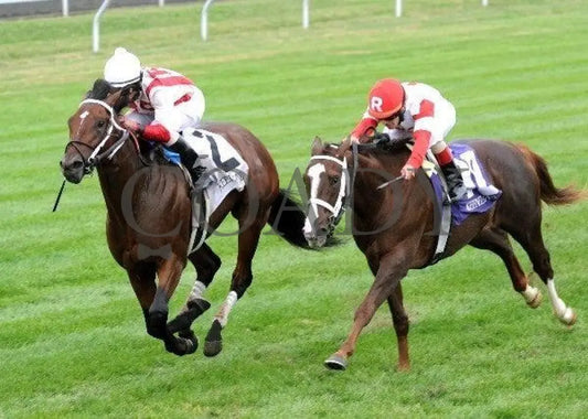 Animal Spirits - Inside Finish 100911 Race 08 Keeneland