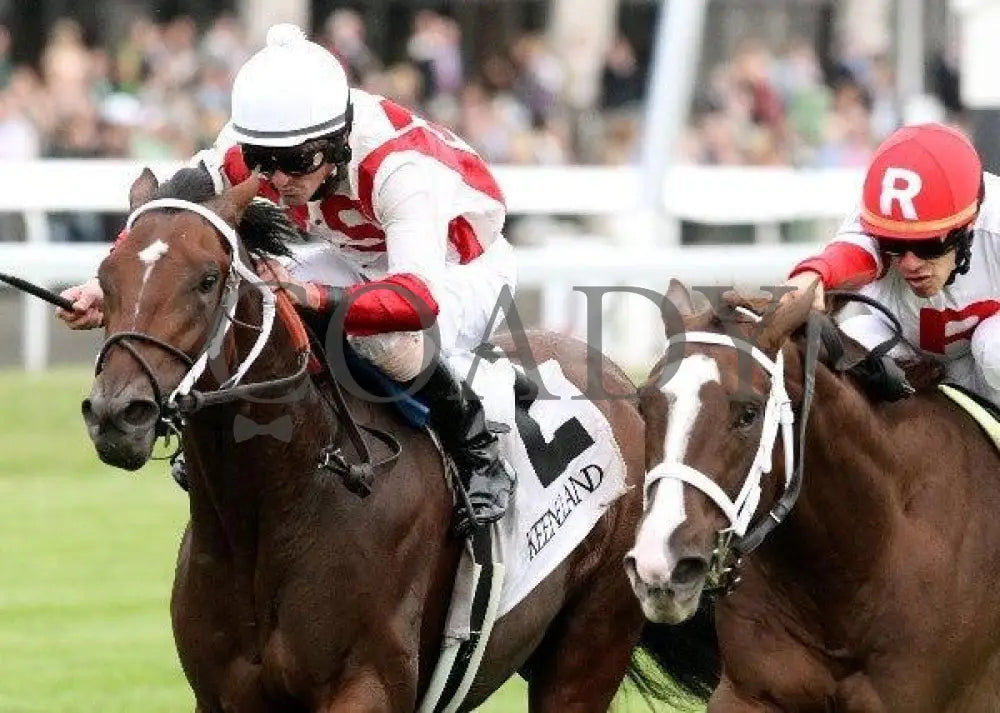 Animal Spirits - Inside Finish Tight 100911 Ra Keeneland