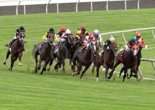 Animal Spirits - Turn 100911 Race 08 Keeneland