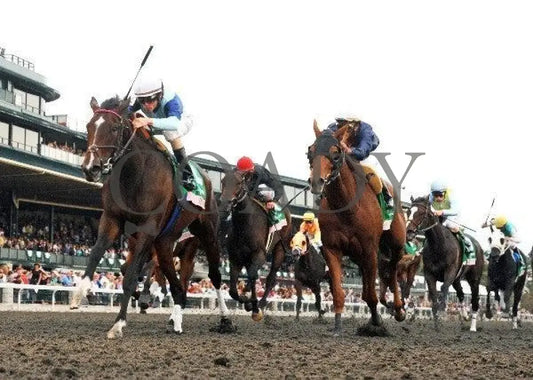 Animal Spirits - Under Rail 100911 Race 08 Keeneland