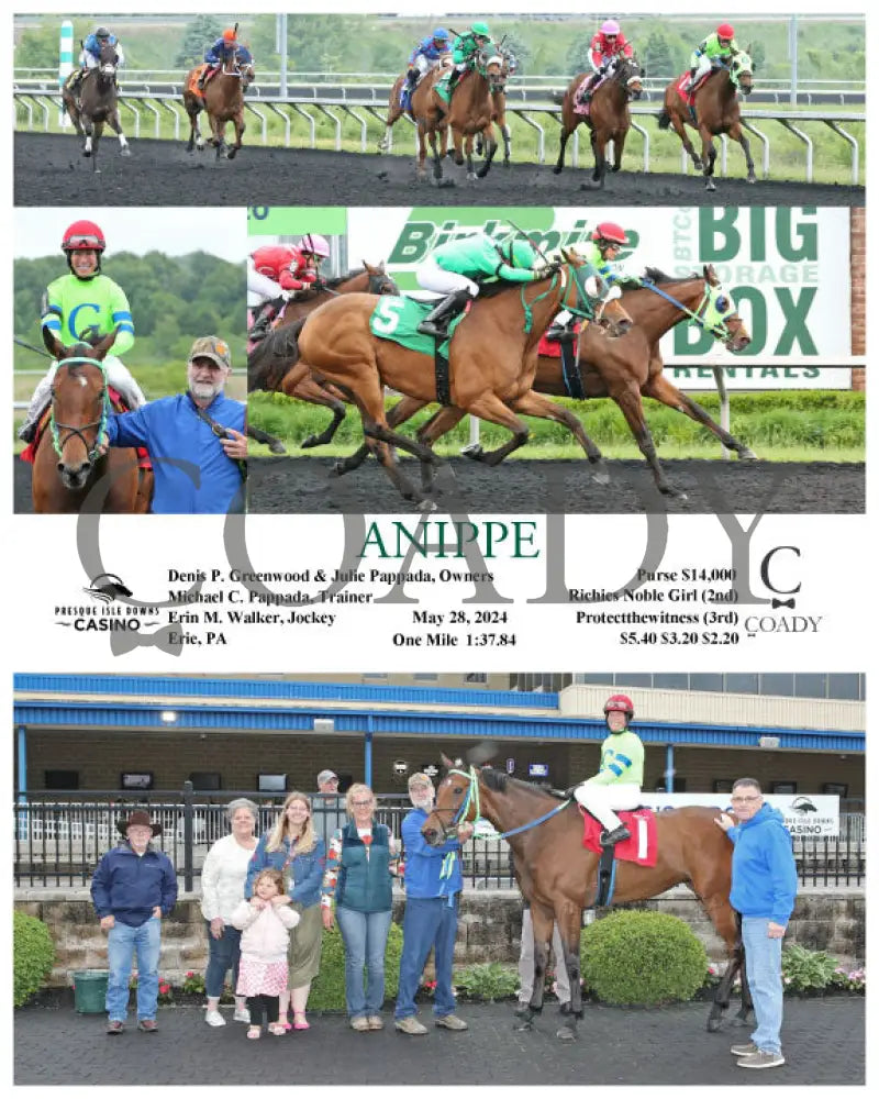 Anippe - 05-28-24 R06 Pid Presque Isle Downs