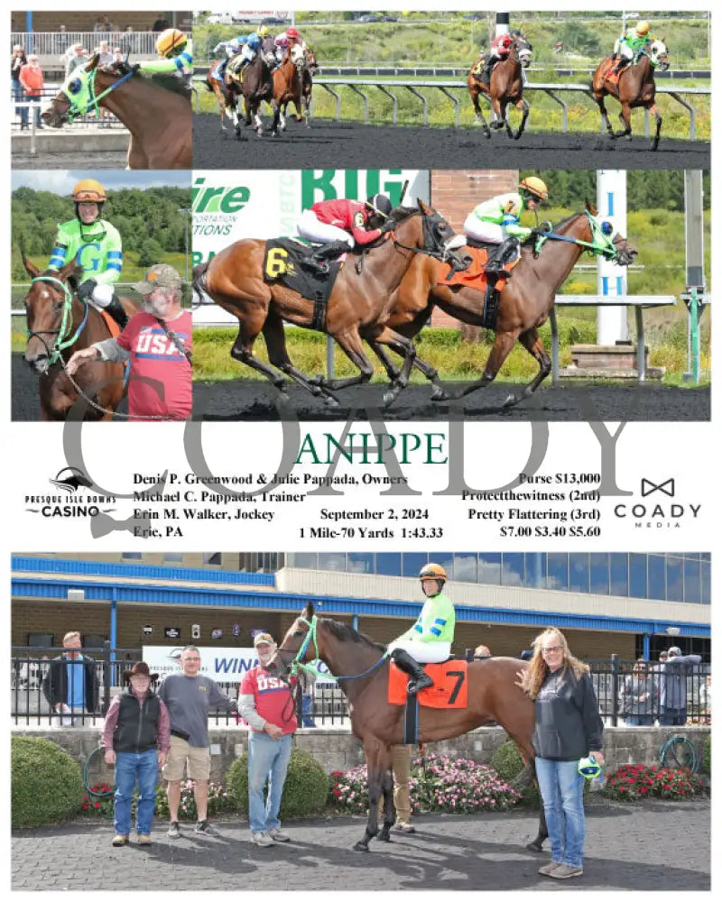 Anippe - 09-02-24 R01 Pid Presque Isle Downs