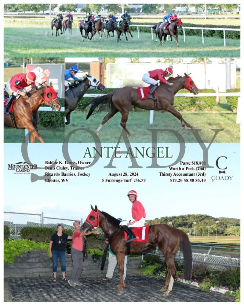 Ante Angel - 08-28-24 R01 Mnr Mountaineer Park