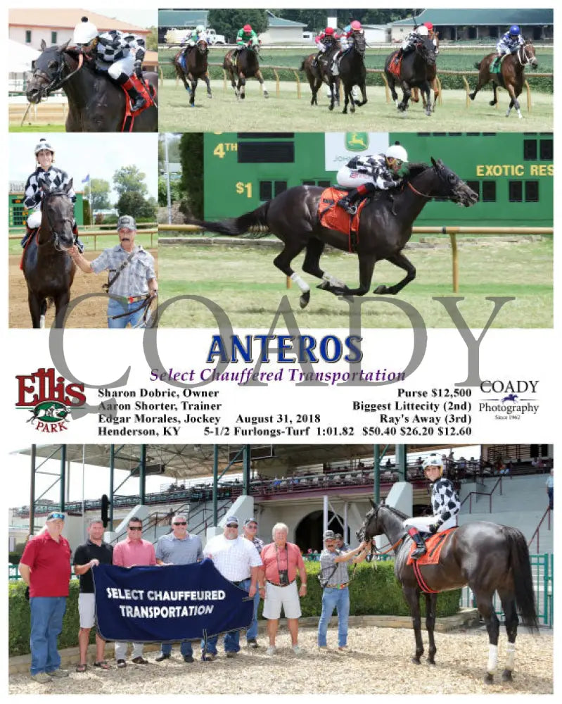 Anteros - 083118 Race 01 Elp Ellis Park