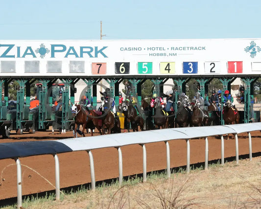 ANTONIOS MARK - Rocky Gulch New Mexico Classic stakes - 11-24-25 - R05 - Zia Park - Start - Coady Media - Kurtis Coady Photography