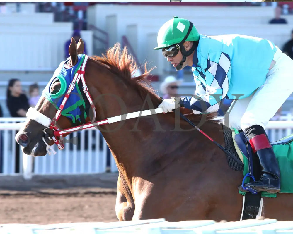 ANTONIOS MARK - The OD McDonald - 10-25-25 - R05 - The Downs at Albuquerque - Finish 01 (Copy) Downs at Albuquerque