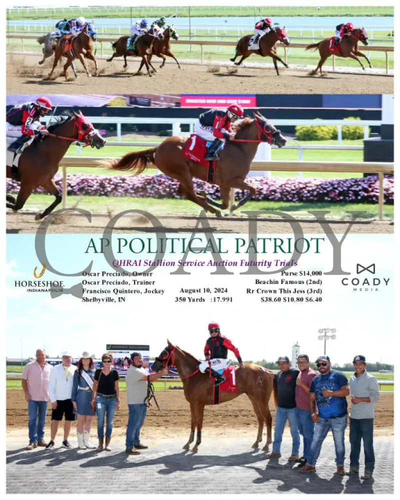 Ap Political Patriot - Qhrai Stallion Service Auction Futurity Trials 08-10-24 R02 Ind Indiana Grand