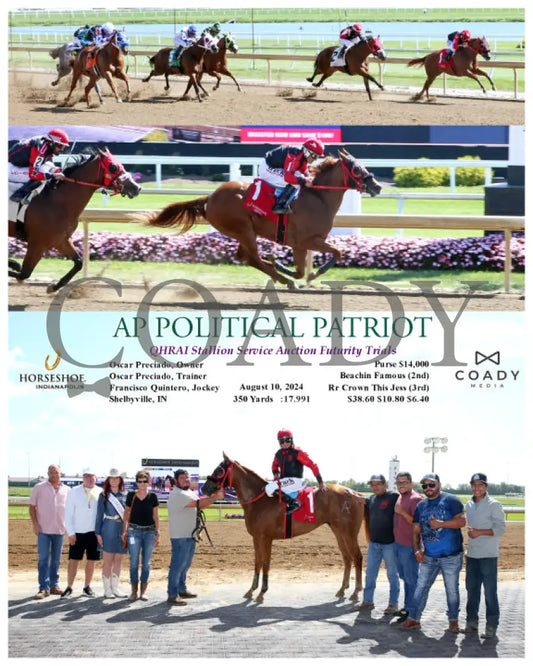 Ap Political Patriot - Qhrai Stallion Service Auction Futurity Trials 08-10-24 R02 Ind Indiana Grand