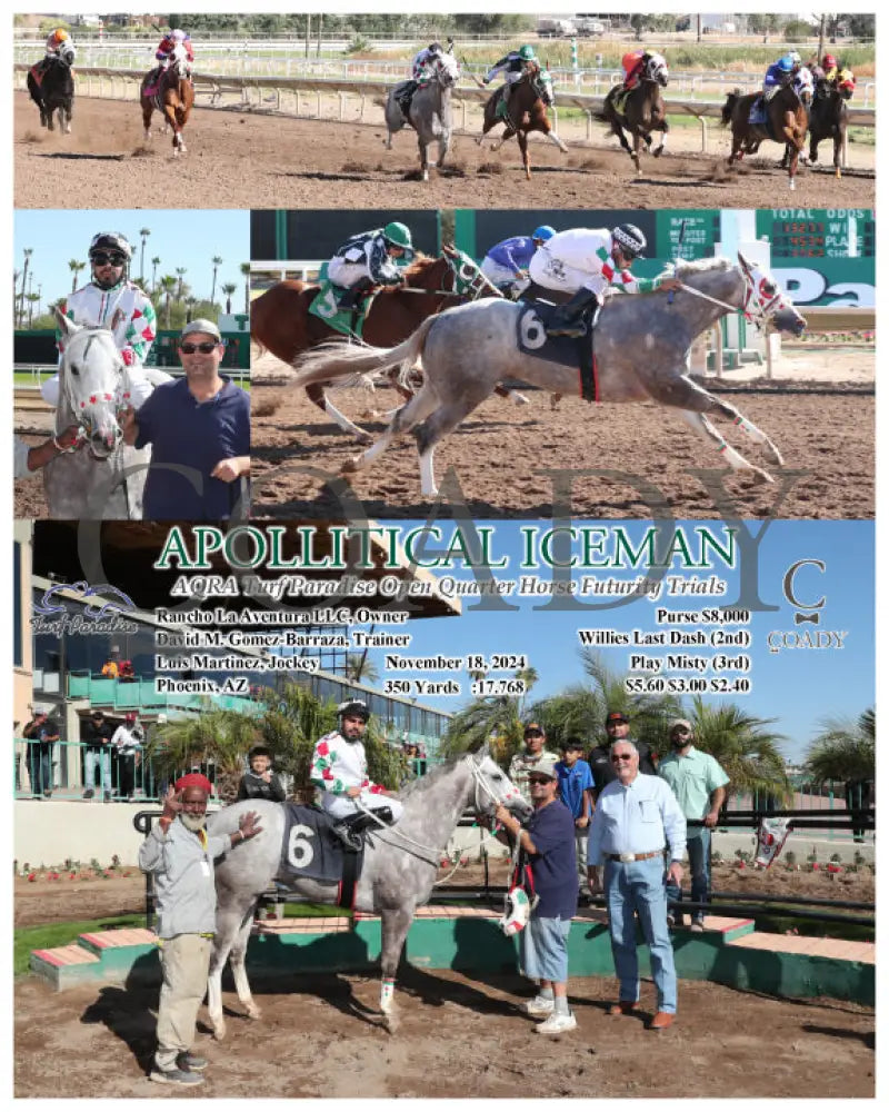 Apollitical Iceman - Aqra Turf Paradise Open Quarter Horse Futurity Trials 11-18-24 R02 Tup