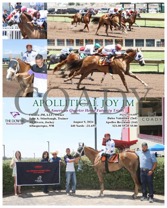 Apollitical Joy Jm - All American Quarter Horse Futurity Trials 08-09-24 R04 Alb Downs At