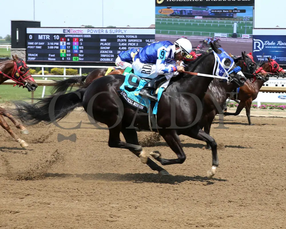 APOLLITICAL MISSION - Harley Greene Derby Final - 11th Running - 05-31-25 - R10 - Horseshoe Indiana - Finish 01