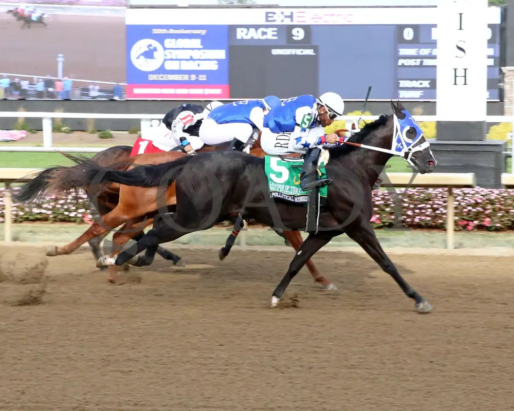 Apollitical Mission - Leader Of The Class Sale Futurity Finals 09-12-24 R09 Horseshoe Indiana