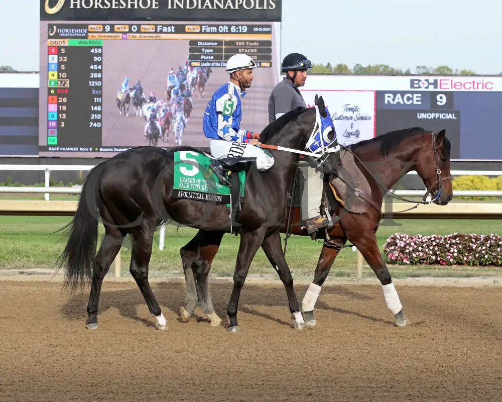 Apollitical Mission - Leader Of The Class Sale Futurity Finals 09-12-24 R09 Horseshoe Indiana Post