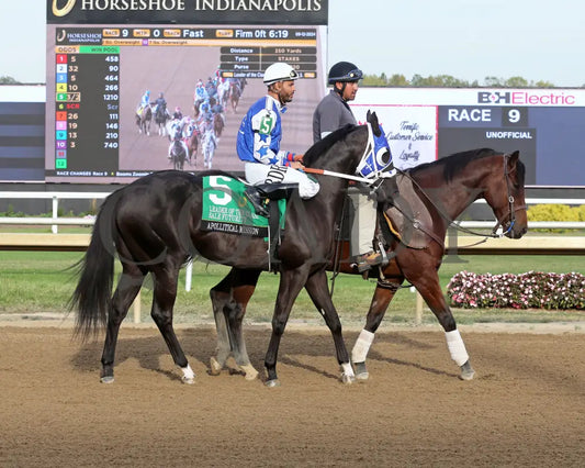 Apollitical Mission - Leader Of The Class Sale Futurity Finals 09-12-24 R09 Horseshoe Indiana Post