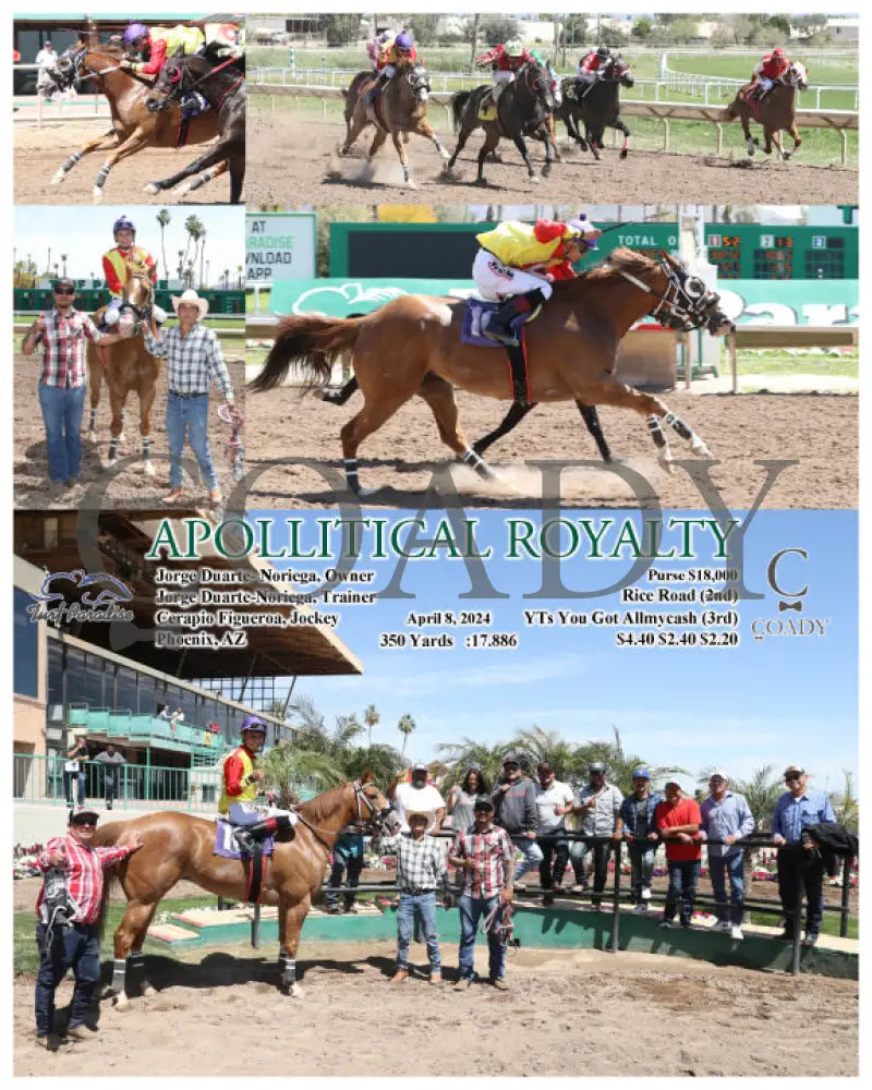 Apollitical Royalty - 04 - 08 - 24 R01 Tup Turf Paradise