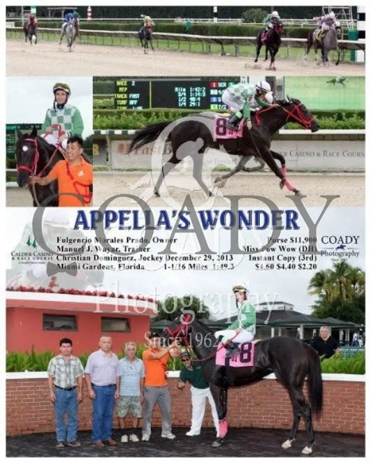 APPELLA'S WONDER - 122913 - Race 02 - CRC - Coady Media - Kurtis Coady Photography