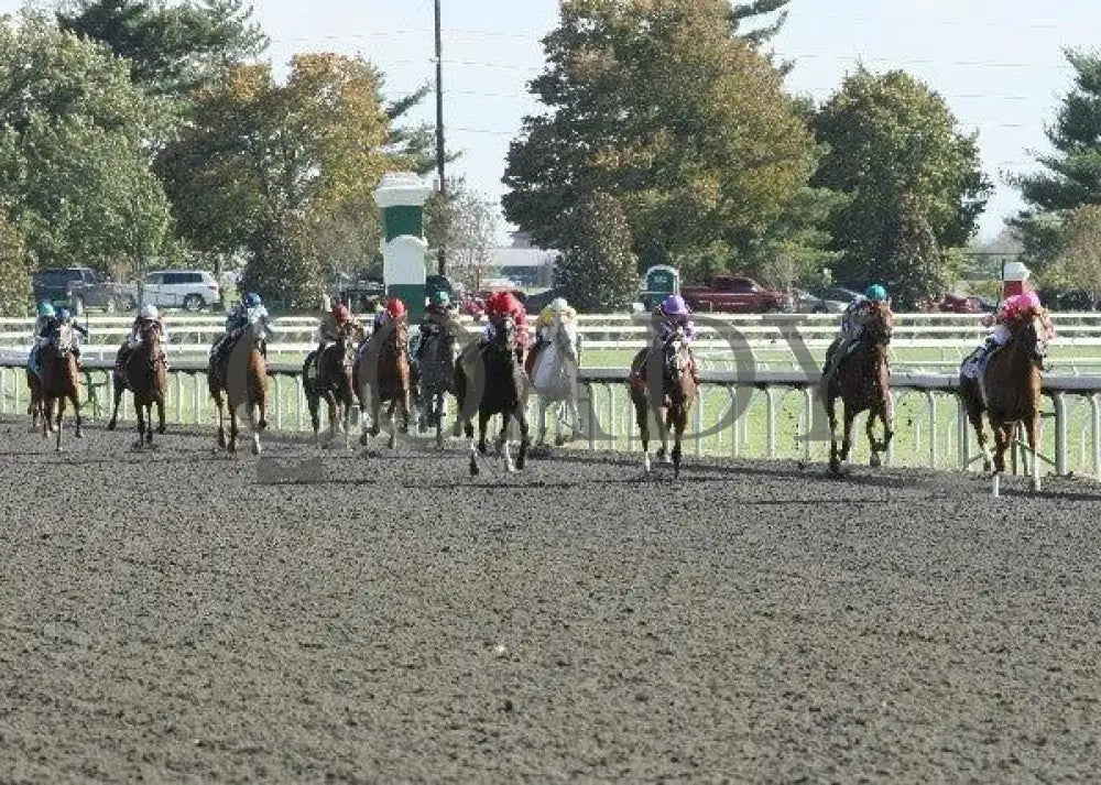 Applauding - 1 101411 Race 06 Keeneland
