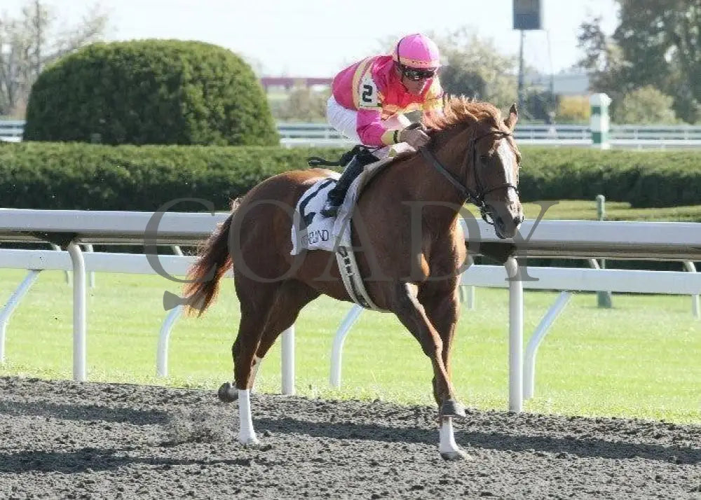 Applauding - 2 101411 Race 06 Keeneland