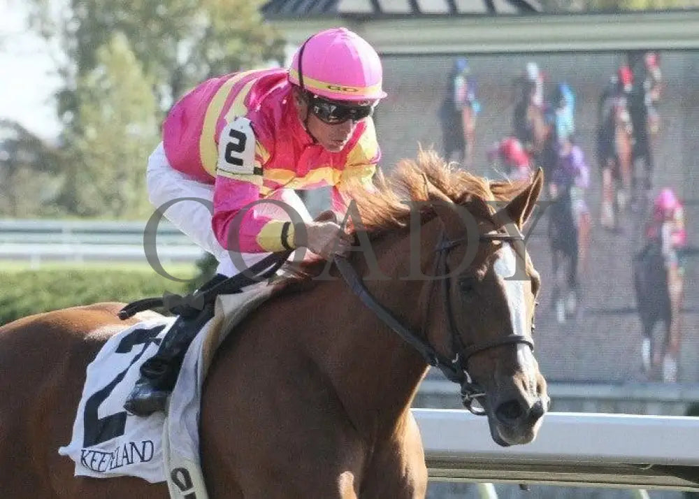 Applauding - 3 101411 Race 06 Keeneland