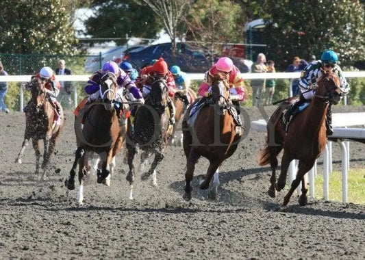 Applauding - 4 101411 Race 06 Keeneland