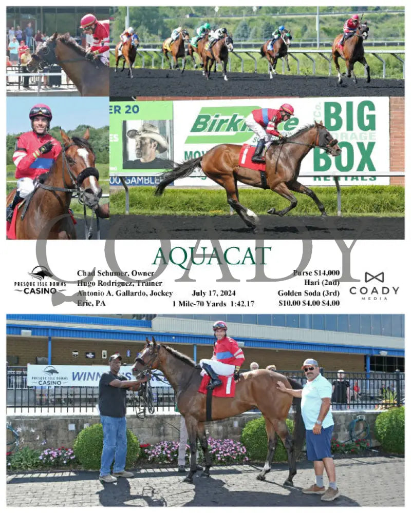 Aquacat - 07-17-24 R04 Pid Presque Isle Downs