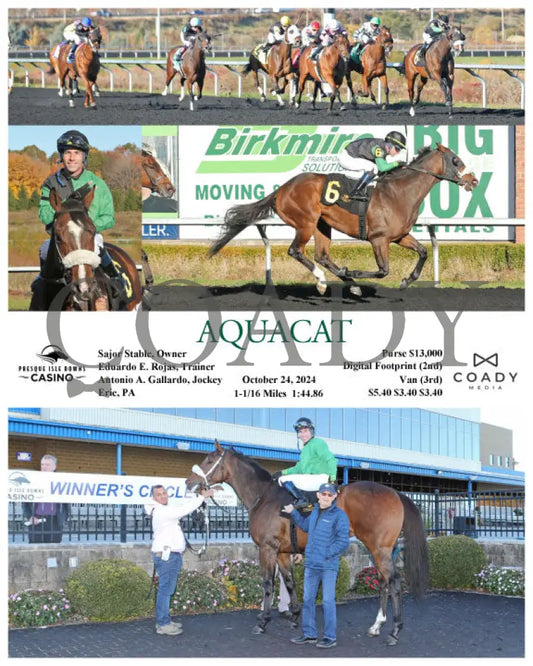 Aquacat - 10-24-24 R04 Pid Presque Isle Downs